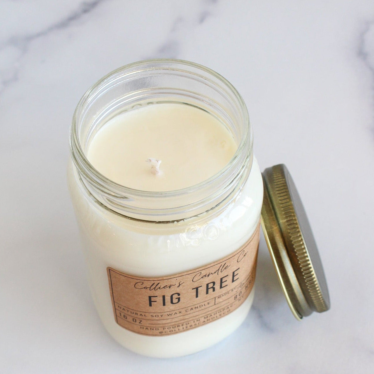 Fig Tree